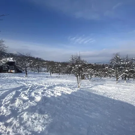 度假居 Casa Din Livada 普雷德鲁特