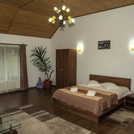 Casa Din Livada * 普雷德鲁特