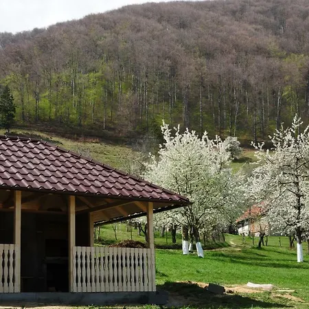 Casa Din Livada 度假居