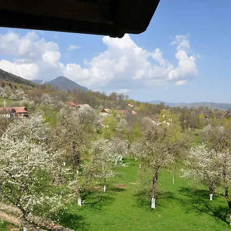 Casa Din Livada 普雷德鲁特
